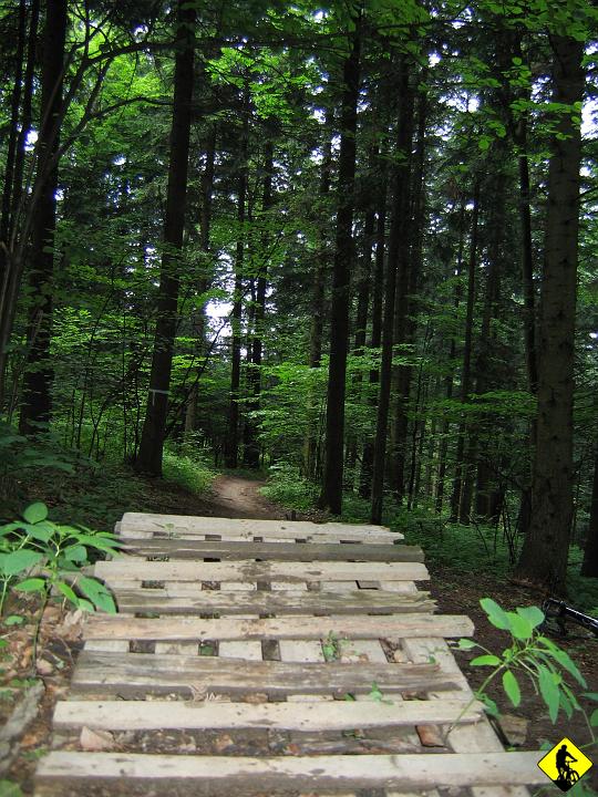 Karta1_ 034.jpg - Robimy małą sesję zdjęciową, lecz jedyne co dało się wrzucić to...